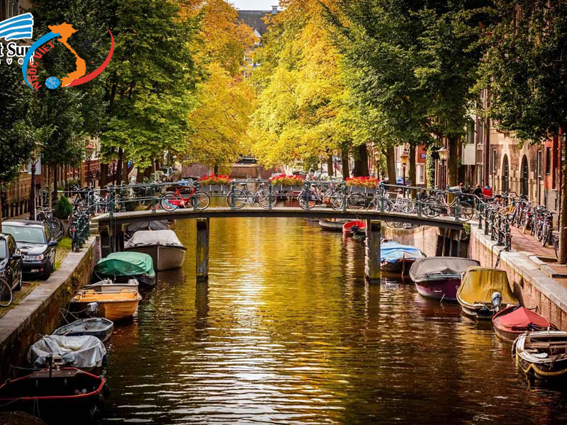 Tổng hợp những kinh nghiệm du lịch Hà Lan mùa thu cực chi tiết